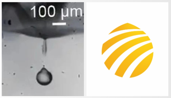 官宣 | 狗万官网官方LOGO全「新」亮相！