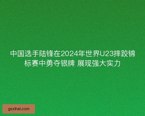 中国选手陆锋在2024年世界U23摔跤锦标赛中勇夺银牌 展现强大实力