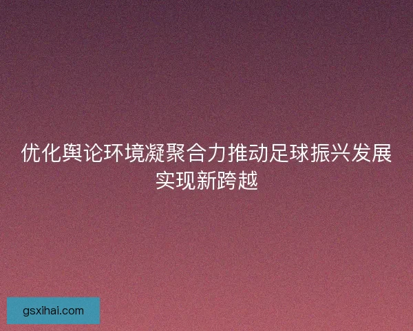 优化舆论环境凝聚合力推动足球振兴发展实现新跨越