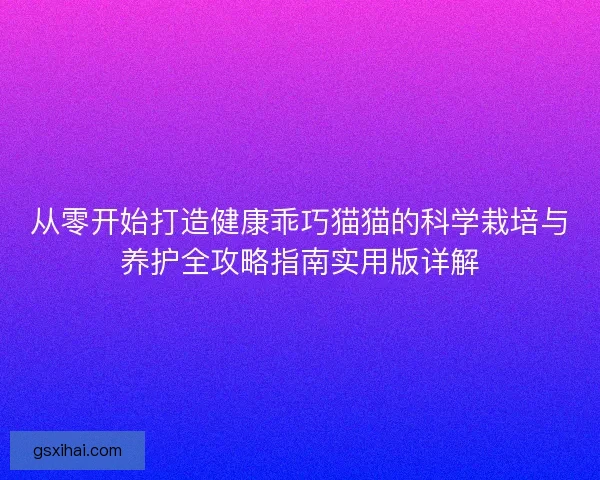 从零开始打造健康乖巧猫猫的科学栽培与养护全攻略指南实用版详解