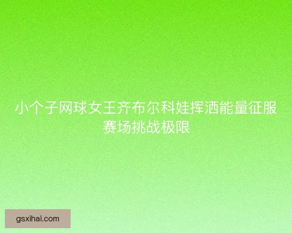 小个子网球女王齐布尔科娃挥洒能量征服赛场挑战极限 小个子网球女王齐布尔科娃挥洒能量征服赛场挑战极限